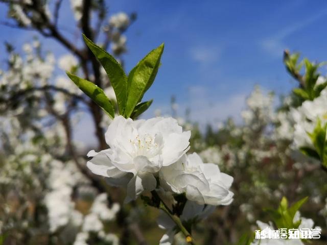 开发商卖房子要求必须和车位一起卖合法吗