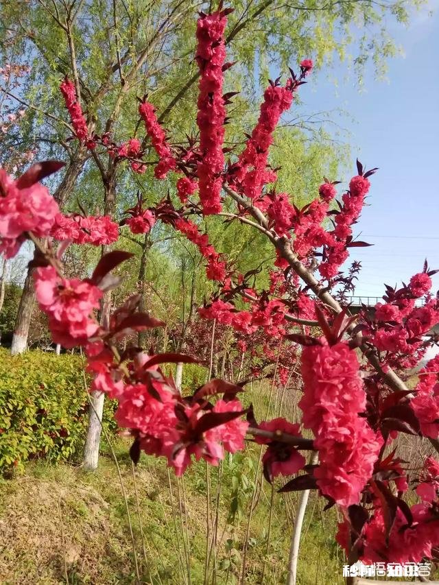 开发商卖房子要求必须和车位一起卖合法吗