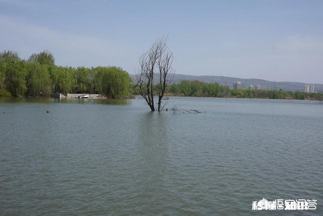 开发商卖房子要求必须和车位一起卖合法吗