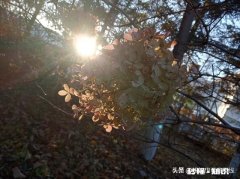 如果给你足够的钱买你认为最宝贵的东西，你愿意交换吗