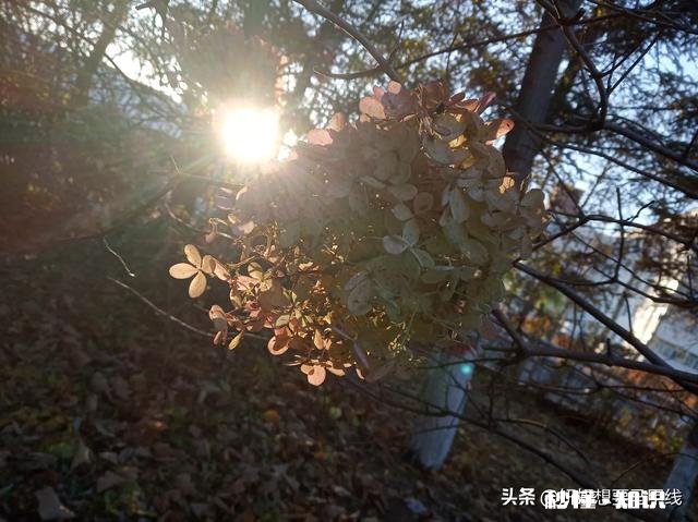 如果给你足够的钱买你认为最宝贵的东西，你愿意交换吗