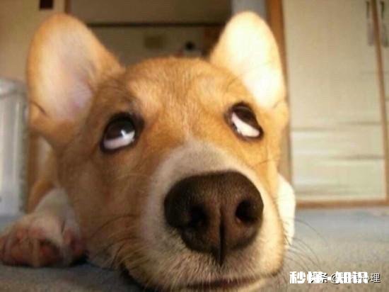 为什么现代年轻人都焦虑