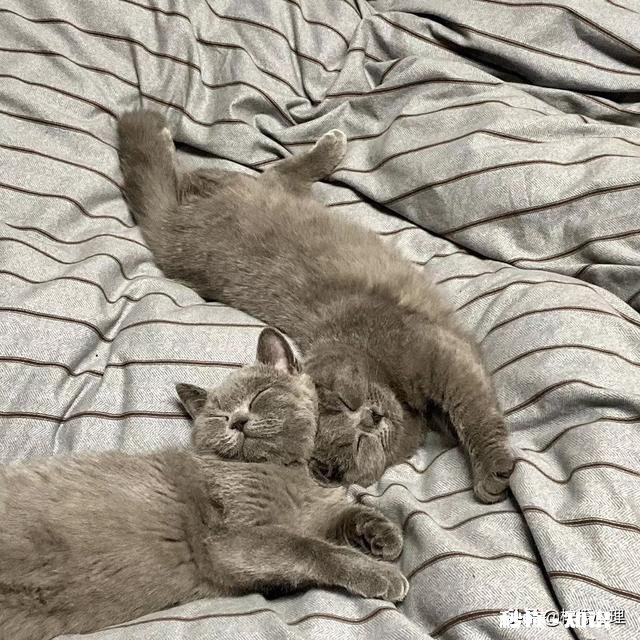 为什么现代年轻人都焦虑