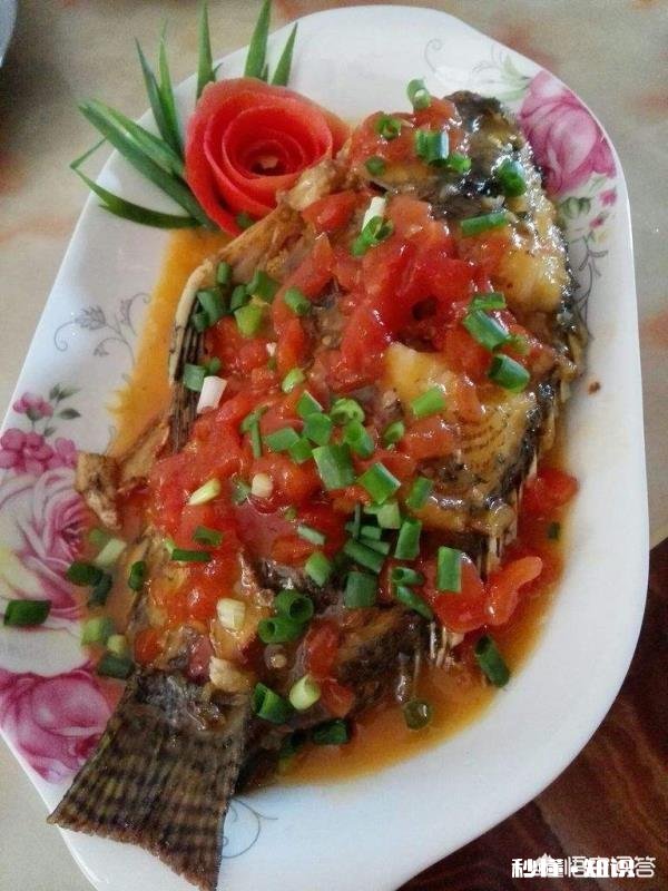 罗非鱼都有哪些做法哪种更美味