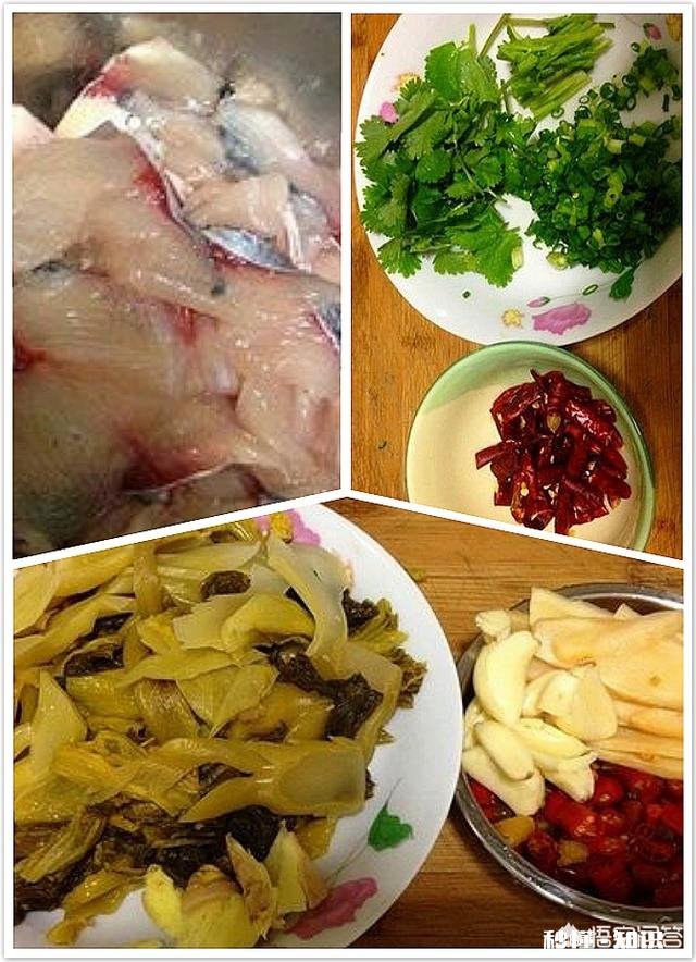 罗非鱼都有哪些做法哪种更美味