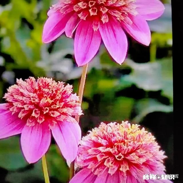 但平时她让我帮忙做啥我都会答应 让室友帮忙拿快递，她拒绝了，我应该生气吗