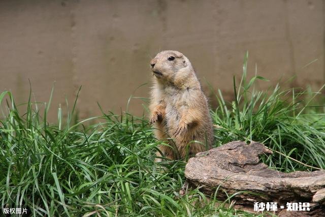 内心经常焦虑和情绪崩溃，怎么办