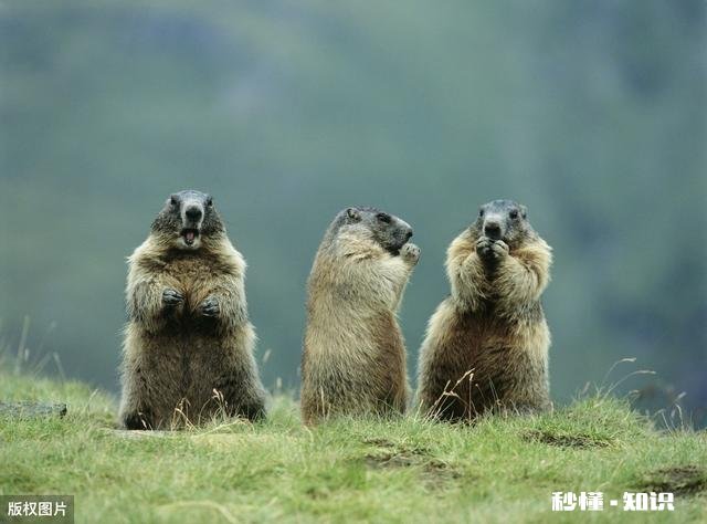 内心经常焦虑和情绪崩溃，怎么办