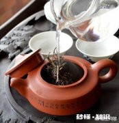 什么茶头泡不喝