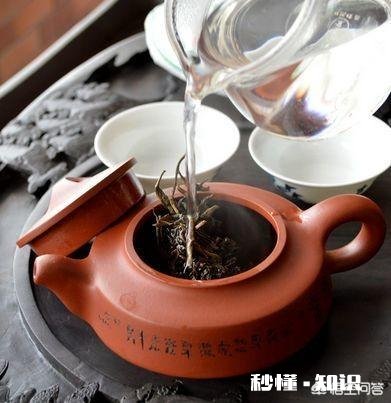 什么茶头泡不喝
