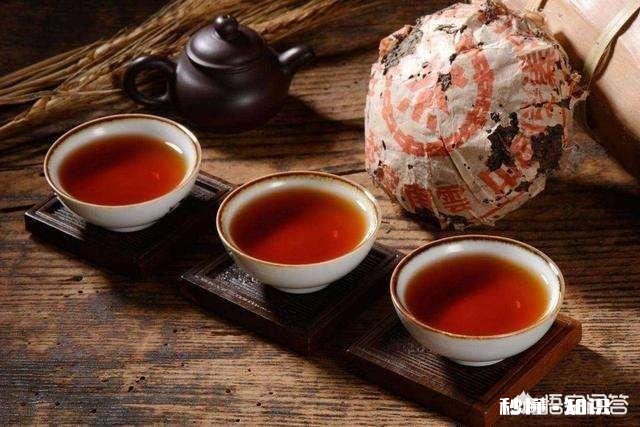 什么茶头泡不喝