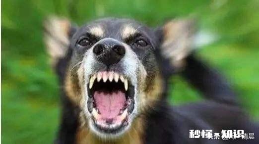 你有多久没有好好的睡上一觉，像小时候那样，甜甜的睡一觉