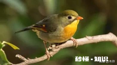 你有多久没有好好的睡上一觉，像小时候那样，甜甜的睡一觉