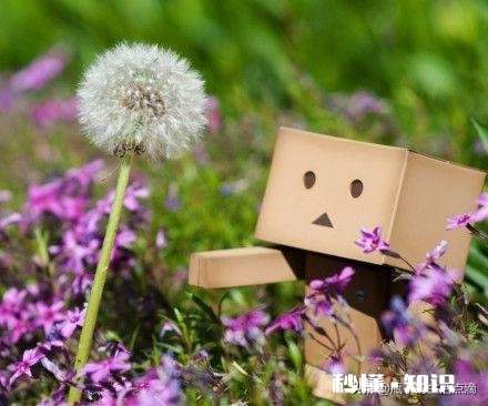 目前最大的愿望