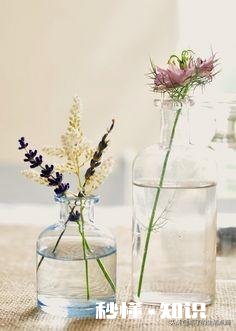 目前最大的愿望