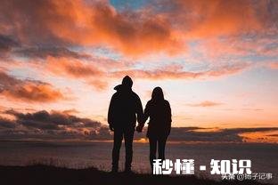 你是喜欢业余健身、看书学习的老公,还是喜欢你的老公业余时间吃喝玩乐