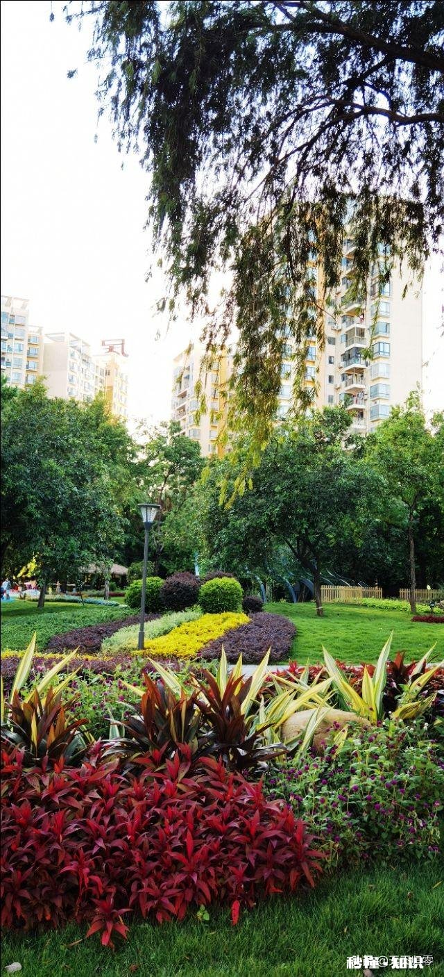 去哪儿不去哪儿，不重要，重要的是跟谁去，是这个理儿吧