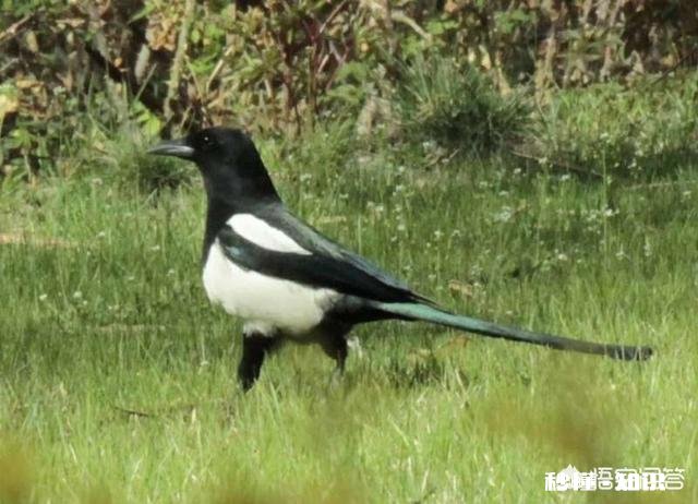 玩手机就是玩系统，要喜欢照相就买单反相机，手机就整体而言，你喜欢什么手机