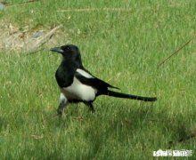 玩手机就是玩系统，要喜欢照相就买单反相机，手机就整体而言，你喜欢什么手机