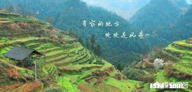 你认为最无聊的综艺节目是哪档