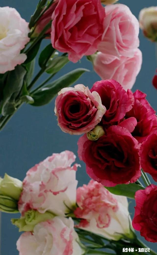 青山绿水依然在，下联如何对