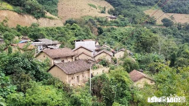 2018今日头条生机大会召开在即，对于三农领域创作者，未来你有什么看法