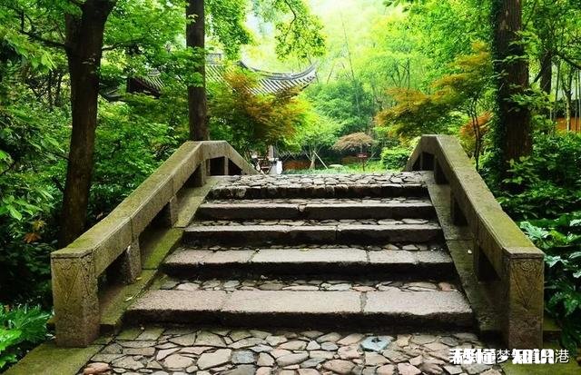 现在这个社会,信任可以有多强