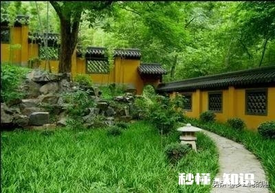 现在这个社会,信任可以有多强