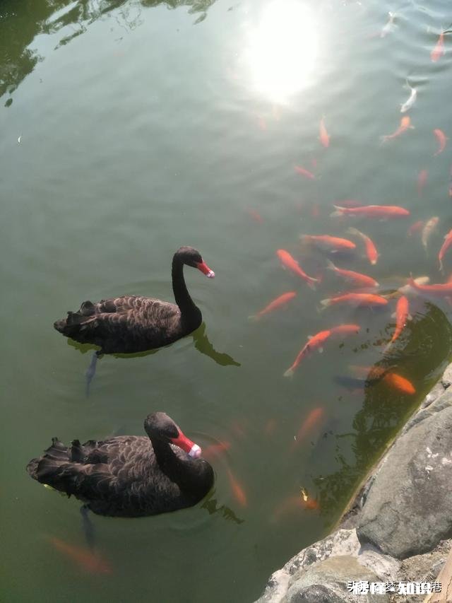 现在这个社会,信任可以有多强