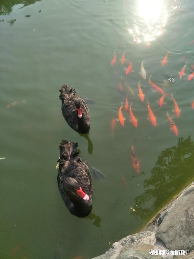 现在这个社会,信任可以有多强