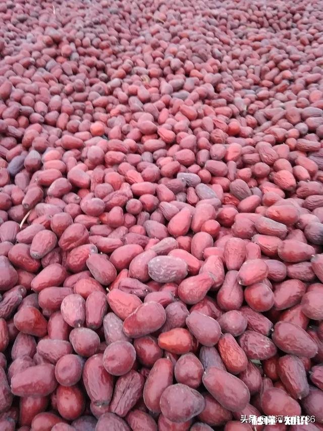 用硫磺熏过的红枣是什么样的如何分辨