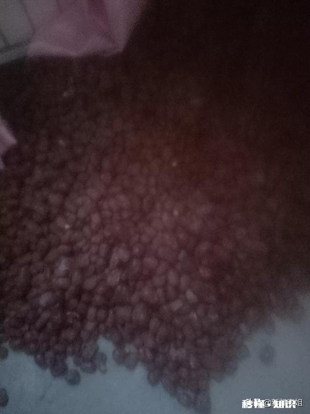 用硫磺熏过的红枣是什么样的如何分辨