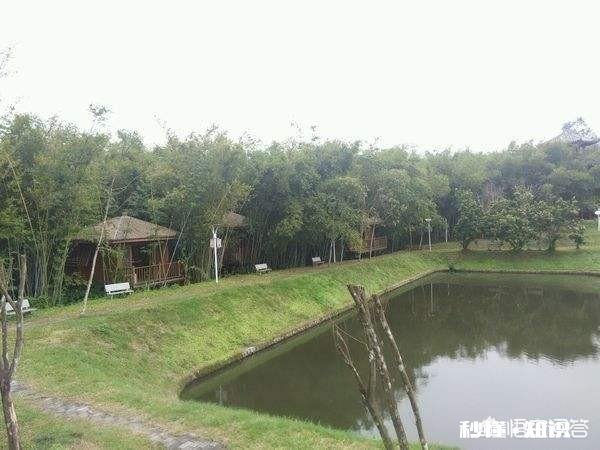 为什么说养鱼先养水