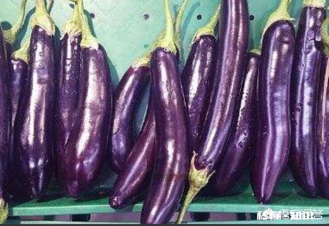 羊肉排骨怎么炖都有哪些做法