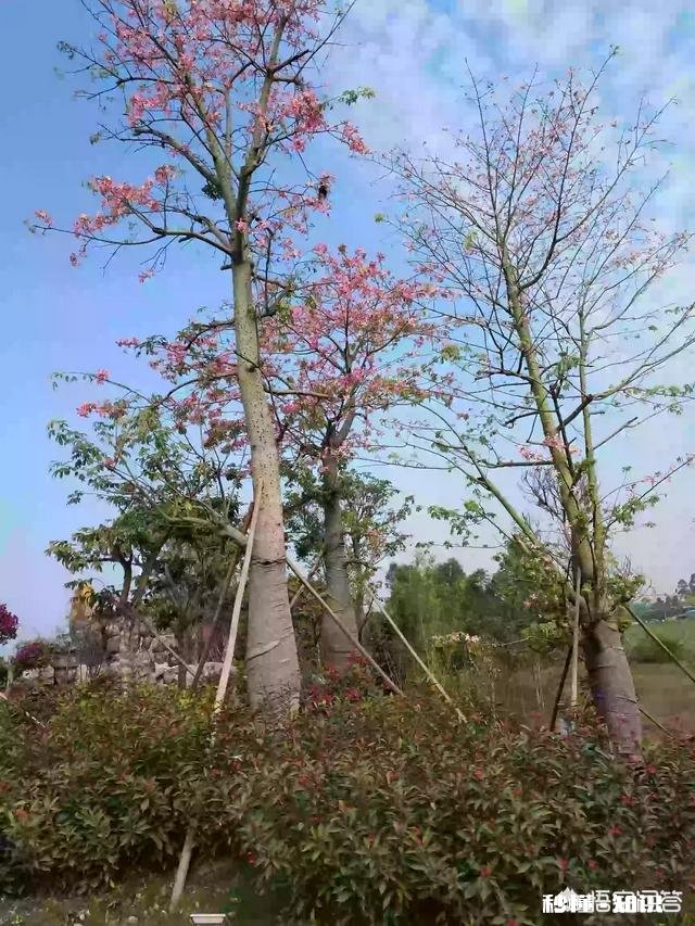 家庭生活中,作为婆婆公公,怎么做才是正确的