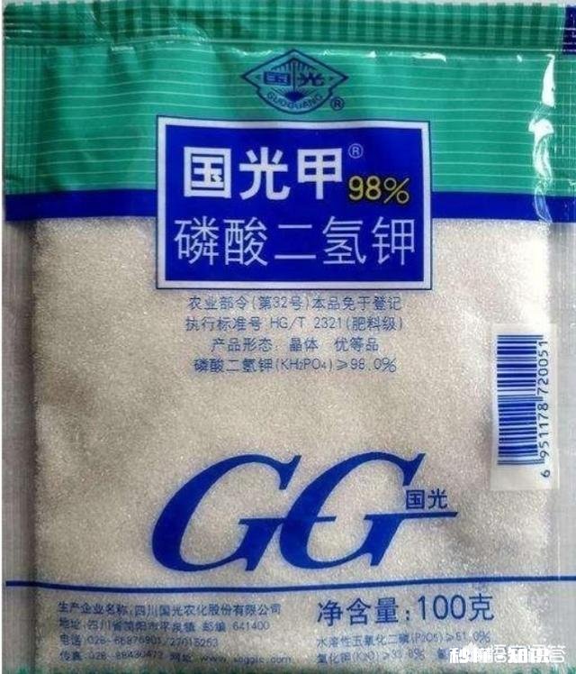 辣椒苗移栽大田地什么时候用二氢钾