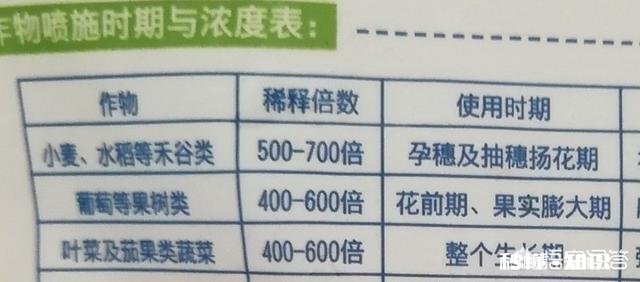 辣椒苗移栽大田地什么时候用二氢钾