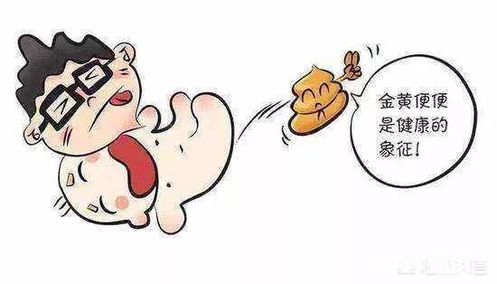 6周婴儿的粪便应该是什么样的