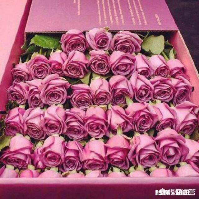 在南阳地区，结婚要多少彩礼