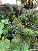 离婚了，要告诉父母吗