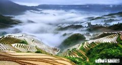 就现在的行情来看，是搞农业好，还是搞科技好