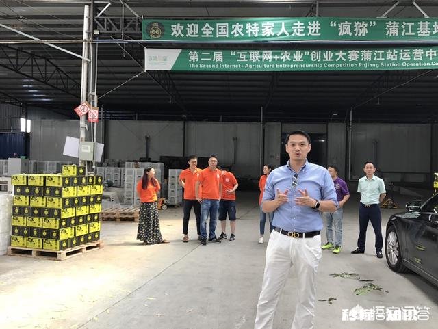 对于短视频、直播电商和社交电商的风口，你怎样看