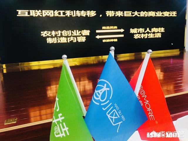 对于短视频、直播电商和社交电商的风口，你怎样看