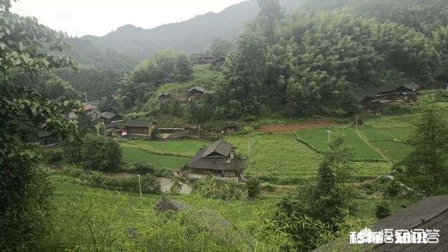 三农卖货平台都有哪些靠谱的推荐