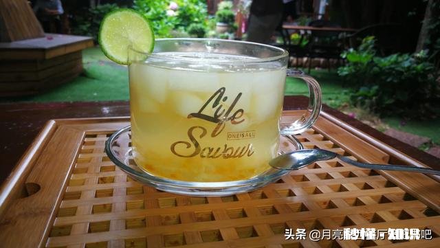 哪些美食祛皱养颜