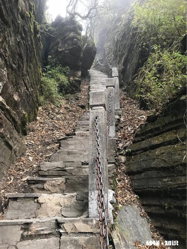 请问有中重度抑郁症夫妻关系还特别好的吗