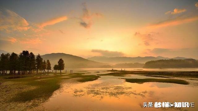 大龄剩女都是怎么打发时间的