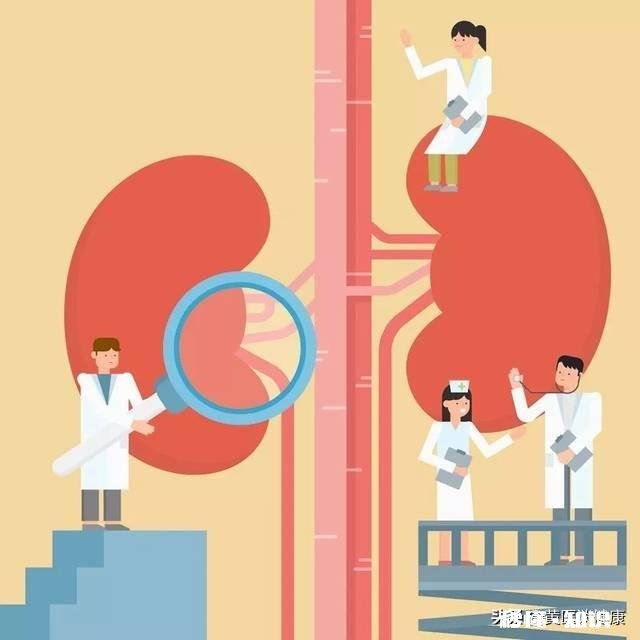 男朋友在车祸后做了肾移植手术，请问对以后的生活有影响吗