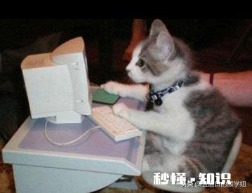 现在没有任何计算机基础，高三女生想考计算机专业，有没有什么建议