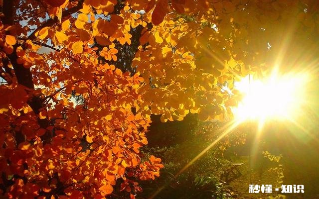 我对家里人就不拘谨，对外人就畏手畏脚，害羞内向，不爱说话，被欺负不敢还手怎么办